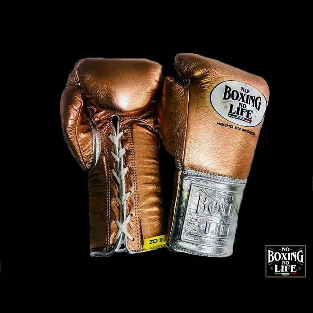 No Boxing No Life Boxing Gloves Brown/Silver Customizable