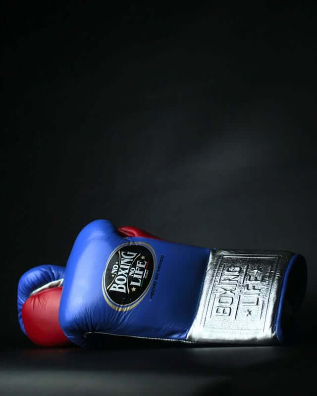 No Boxing No Life Gloves Blue/Silver/Red Training Gloves with Secure Wrist Strap