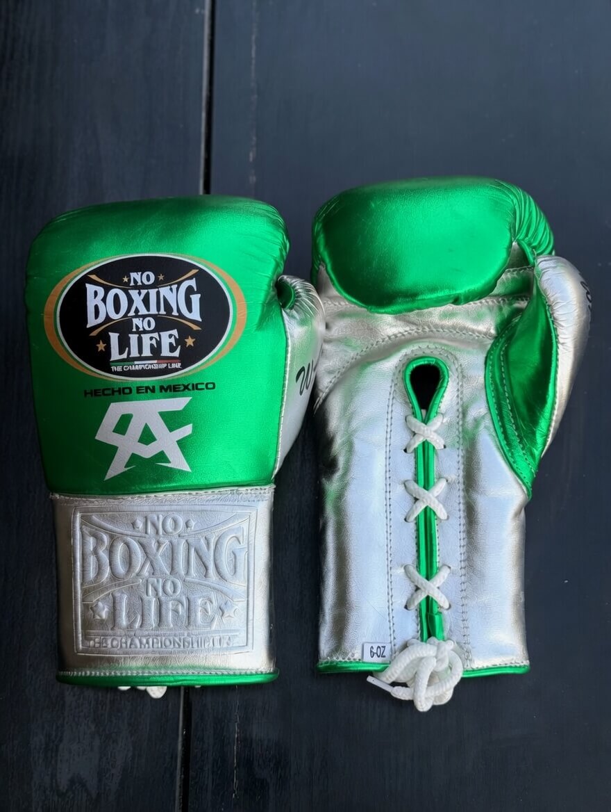 No Boxing No Life Boxing Gloves Green/Silver Training