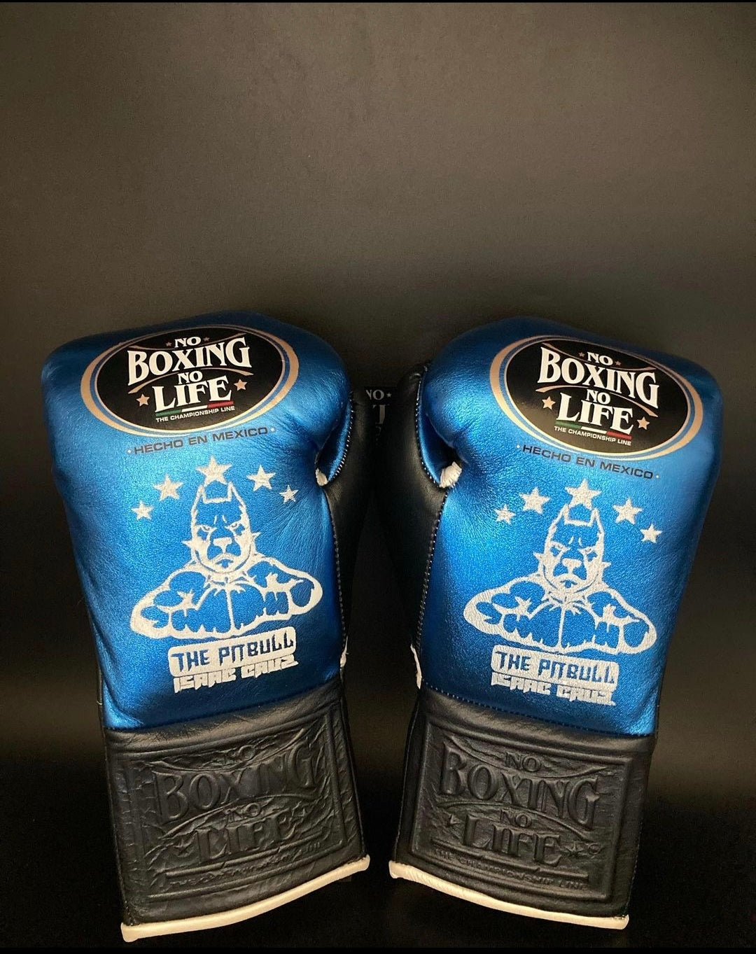 No boxing no life Black/Blue boxing gloves, premium soft-padding training gear