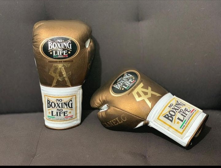 No Boxing No Life White/Copper Professional Training Boxing Gloves | Customizable