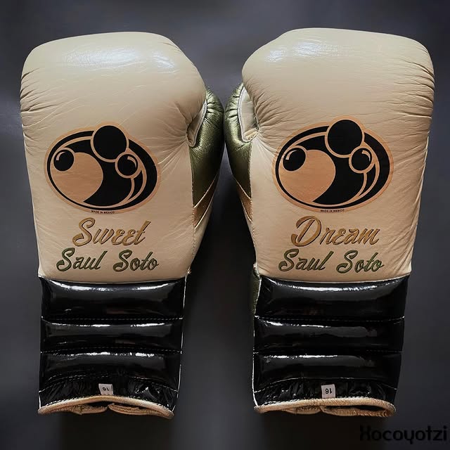 www championship,winnings boxing gloves,winnings boxing,winning velcro gloves,winning velcro glove,winning usa,winning uk,winning open face head guard,winning open face head guard,Winning Leather gloves,winning laceup gloves,winning japan,Winning head guard,Winning Groin guard,Winning Gloves,winning china,Winning Boxing set,Winning boxing gloves set,winning boxing gloves,winning boxing glove,Winning Boxing Gear,Winni,where to buy grant boxing gloves,wedding gifts,wedding gift gift,Wedding Gift,Valentine Gif
