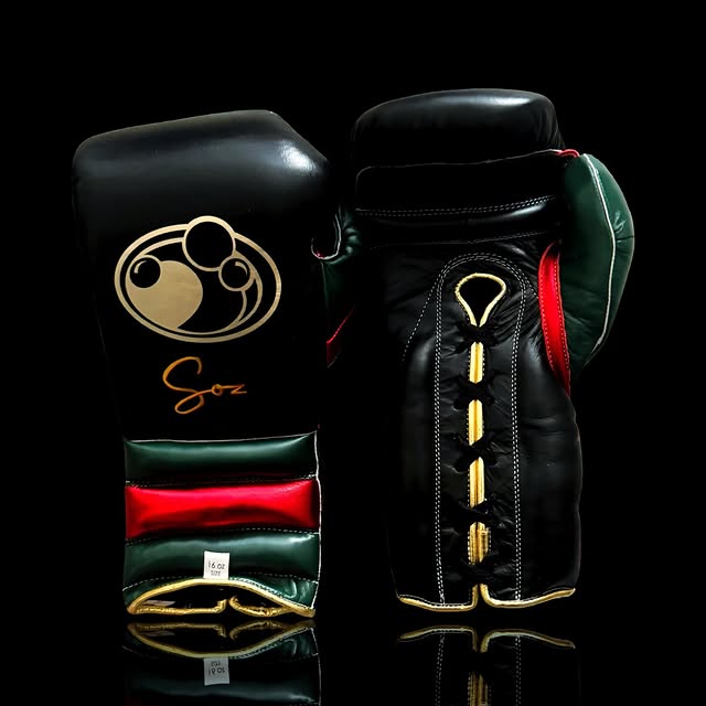 Grant Boxing Gloves Black/Green/Red Training