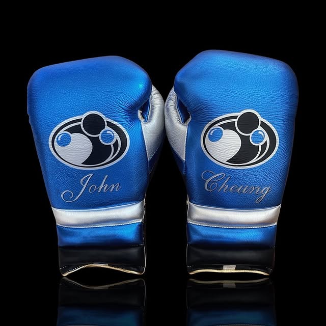 grant boxing gloves blue/black/white/gold back view premium leather fight gear