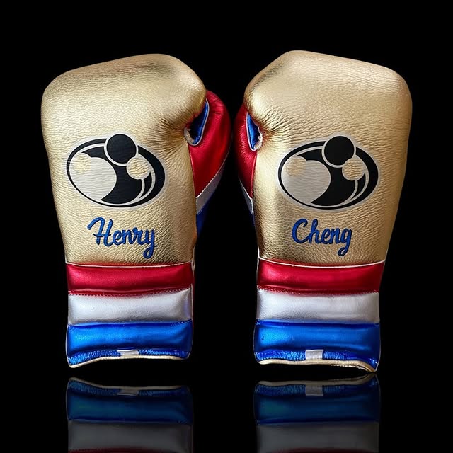 grant boxing gloves gold/blue/red back view premium leather fight gear