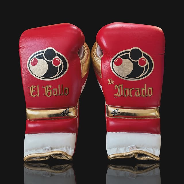 grant boxing gloves red/gold/white back view premium fight gloves for athletes