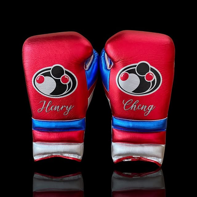 grant boxing gloves red/silver/blue back view professional sparring and training gear