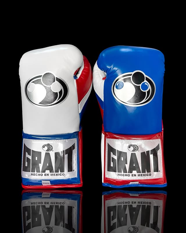 grant boxing gloves white/blue/red back view high quality lace up boxing gloves