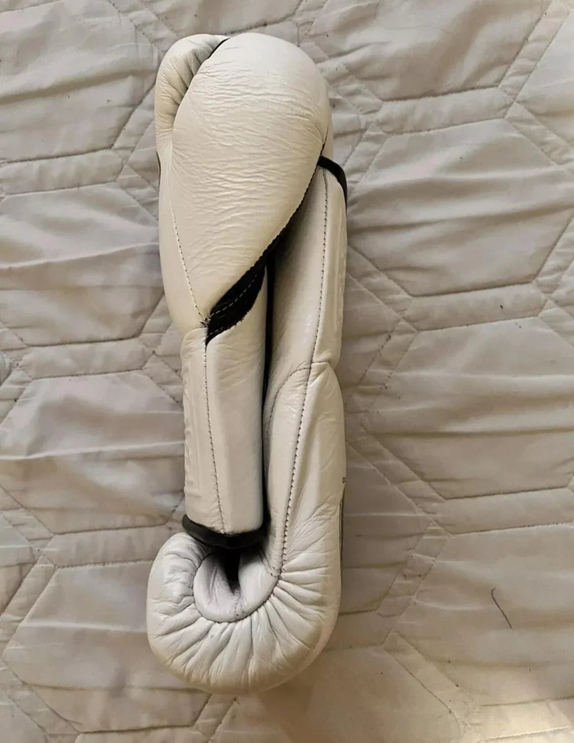 No Boxing No Life Boxing Gloves Beige Boxing Training