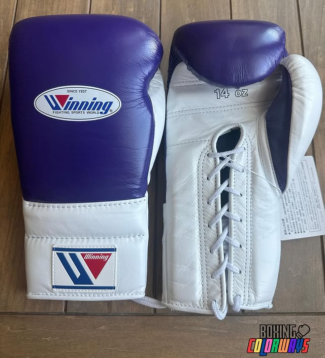 www championship,winnings boxing gloves,winnings boxing,winning velcro gloves,winning velcro glove,winning usa,winning uk,winning open face head guard,winning open face head guard,Winning Leather gloves,winning laceup gloves,winning japan,Winning head guard,Winning Groin guard,Winning Gloves,winning china,Winning Boxing set,Winning boxing gloves set,winning boxing gloves,winning boxing glove,Winning Boxing Gear,Winni,where to buy grant boxing gloves,wedding gifts,wedding gift gift,Wedding Gift,Valentine Gif