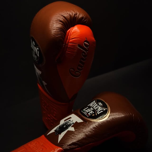www championship,winnings boxing gloves,winnings boxing,winning velcro gloves,winning velcro glove,winning usa,winning uk,winning open face head guard,winning open face head guard,Winning Leather gloves,winning laceup gloves,winning japan,Winning head guard,Winning Groin guard,Winning Gloves,winning china,Winning Boxing set,Winning boxing gloves set,winning boxing gloves,winning boxing glove,Winning Boxing Gear,Winni,where to buy grant boxing gloves,wedding gifts,wedding gift gift,Wedding Gift,Valentine Gif