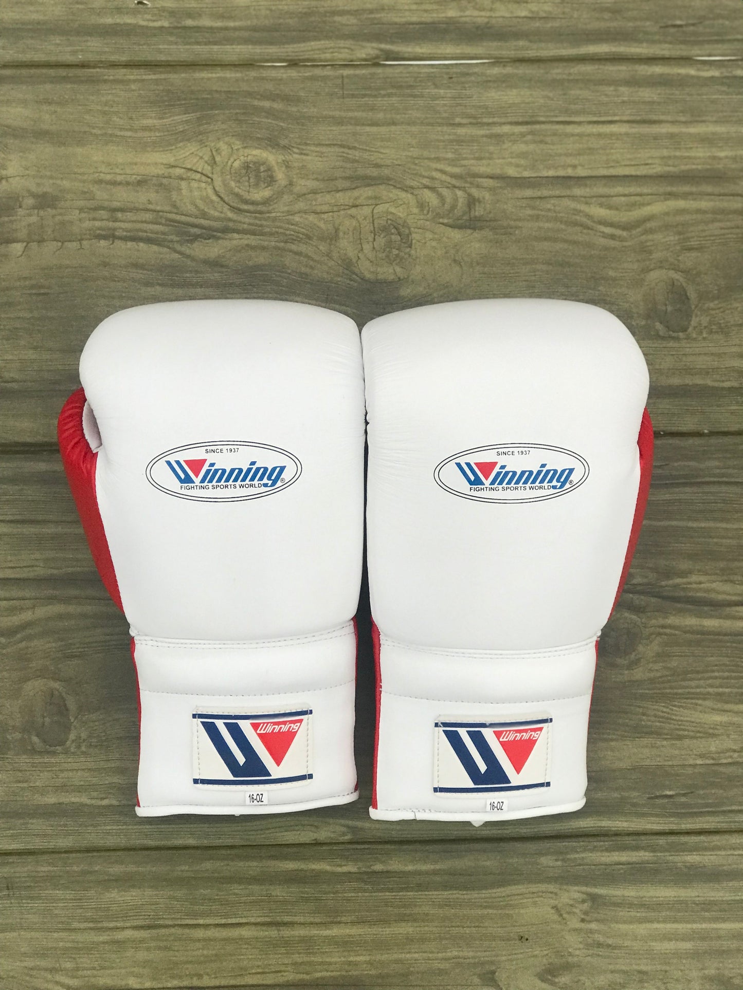 www championship,winnings boxing gloves,winnings boxing,winning velcro gloves,winning velcro glove,winning usa,winning uk,winning open face head guard,winning open face head guard,Winning Leather gloves,winning laceup gloves,winning japan,Winning head guard,Winning Groin guard,Winning Gloves,winning china,Winning Boxing set,Winning boxing gloves set,winning boxing gloves,winning boxing glove,Winning Boxing Gear,Winni,where to buy grant boxing gloves,wedding gifts,wedding gift gift,Wedding Gift,Valentine Gif