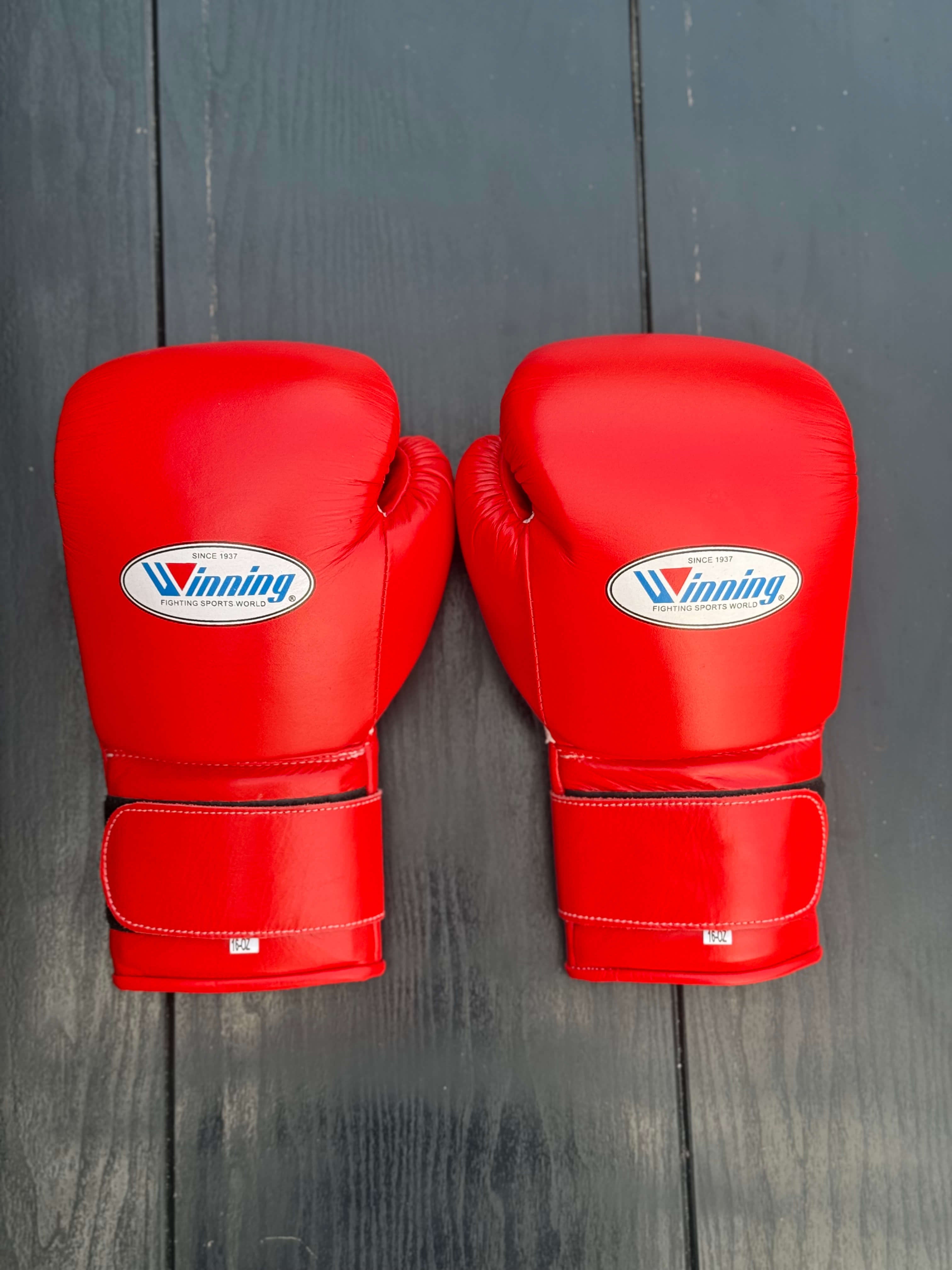 winning boxing gloves, winning gloves, winning boxing gloves japan, winning boxing gloves authentic, winning boxing gloves original, winning boxing gloves lace up, winning boxing gloves velcro, winning boxing gloves 16oz, winning boxing gloves 14oz, winning boxing gloves 12oz, winning training gloves, winning sparring gloves, winning pro boxing gloves, winning leather boxing gloves, winning premium boxing gloves, winning fight gloves, winning competition gloves, winning japanese boxing gloves