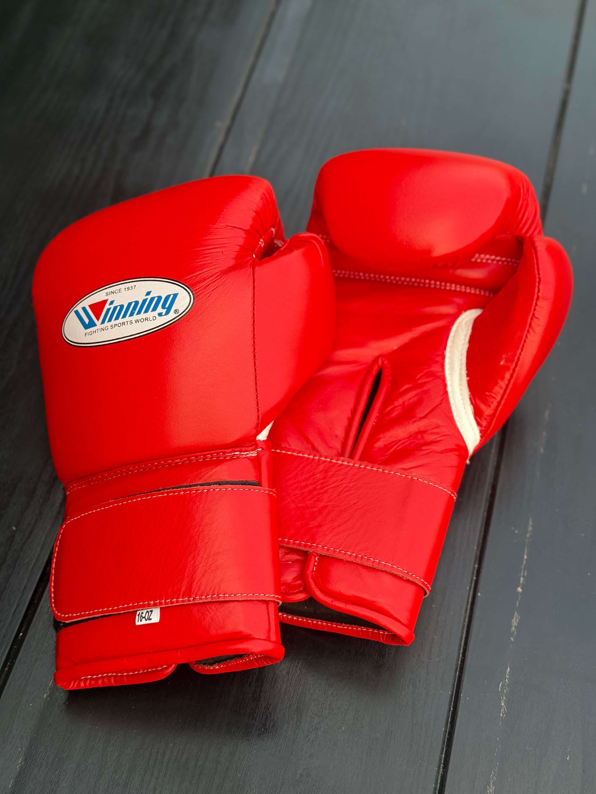 winning boxing gloves, winning gloves, winning boxing gloves japan, winning boxing gloves authentic, winning boxing gloves original, winning boxing gloves lace up, winning boxing gloves velcro, winning boxing gloves 16oz, winning boxing gloves 14oz, winning boxing gloves 12oz, winning training gloves, winning sparring gloves, winning pro boxing gloves, winning leather boxing gloves, winning premium boxing gloves, winning fight gloves, winning competition gloves, winning japanese boxing gloves