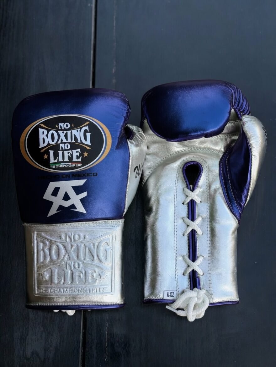 No Boxing No Life Boxing Gloves Dark-Blue/Silver Lace-Up Training