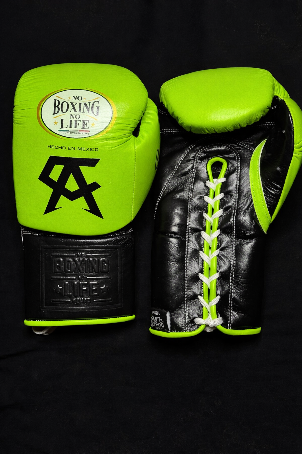 No Boxing No Life Boxing Gloves Parrot/Black Custom made