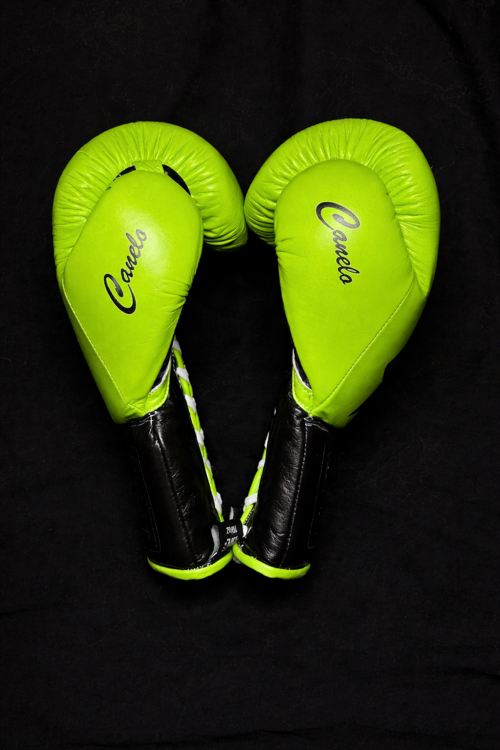 No Boxing No Life Boxing Gloves Parrot/Black Custom made