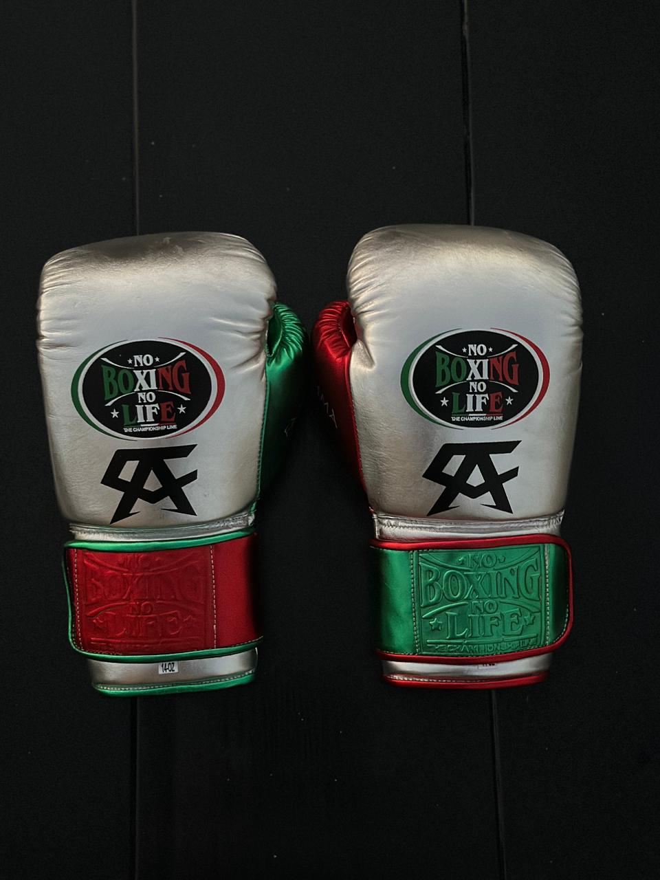No Boxing No Life Boxing Gloves Silver/Green/Red Secure Fit Leather