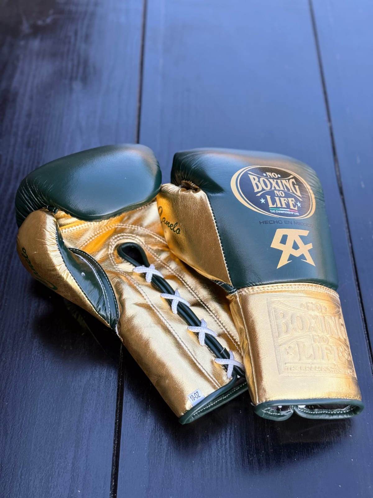 No Boxing No Life Boxing Gloves | Professional Lace-up | Customizable - Ergonomic Design | Green/Gold