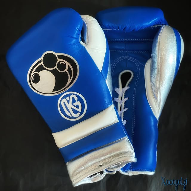 www championship,winnings boxing gloves,winnings boxing,winning velcro gloves,winning velcro glove,winning usa,winning uk,winning open face head guard,winning open face head guard,Winning Leather gloves,winning laceup gloves,winning japan,Winning head guard,Winning Groin guard,Winning Gloves,winning china,Winning Boxing set,Winning boxing gloves set,winning boxing gloves,winning boxing glove,Winning Boxing Gear,Winni,where to buy grant boxing gloves,wedding gifts,wedding gift gift,Wedding Gift,Valentine Gif
