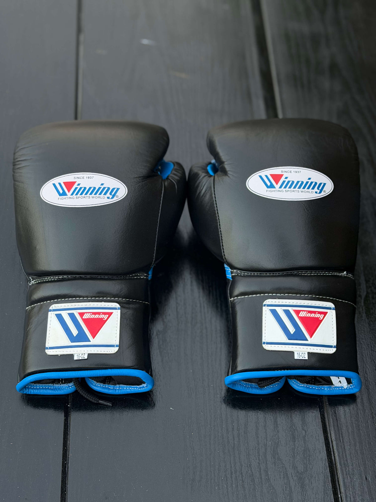 Winning Boxing Sets Black/Blue Leather Gloves Back View