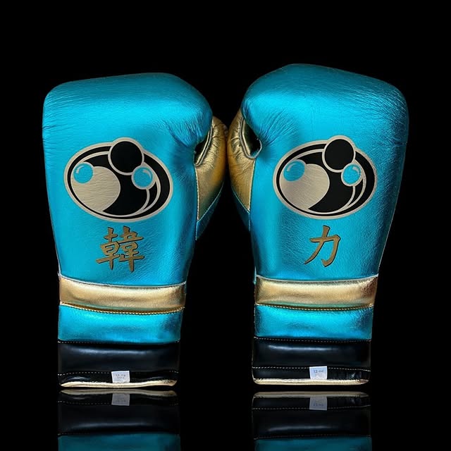 grant boxing gloves blue/black/gold back view  professional boxing gear premium quality