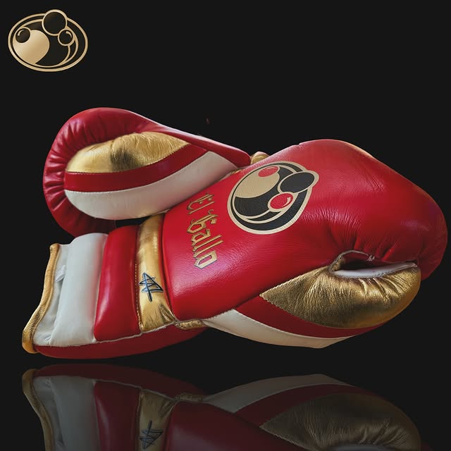 grant boxing gloves red/gold/white back and thumb view premium fight gloves for athletes