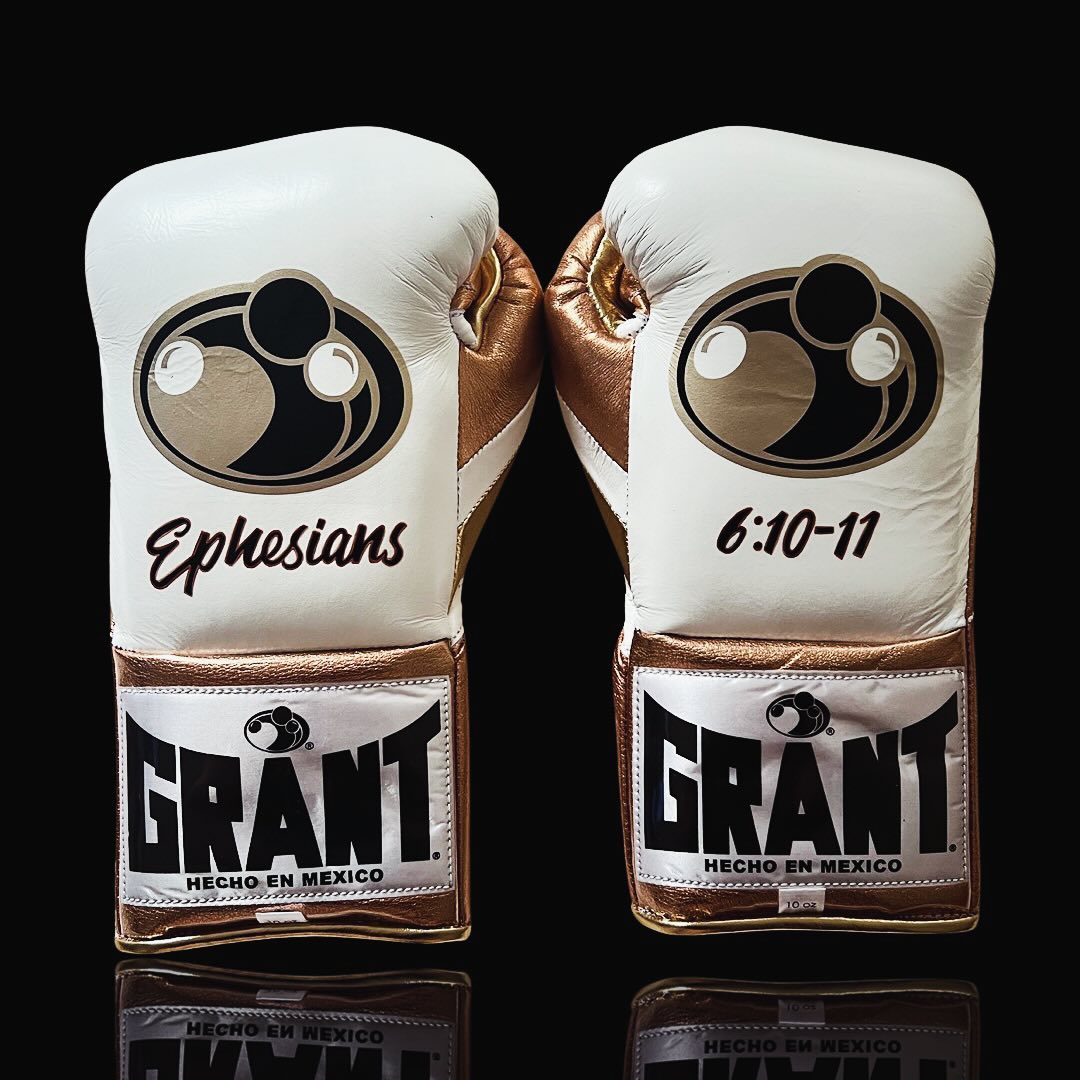 grant white/brown boxing gloves back view premium leather training gloves